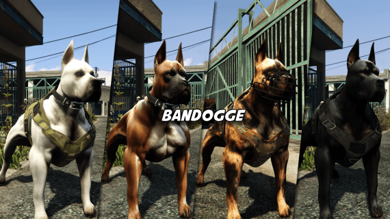 Bandogge (Regular + XL)