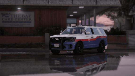 VD CUSTOMS