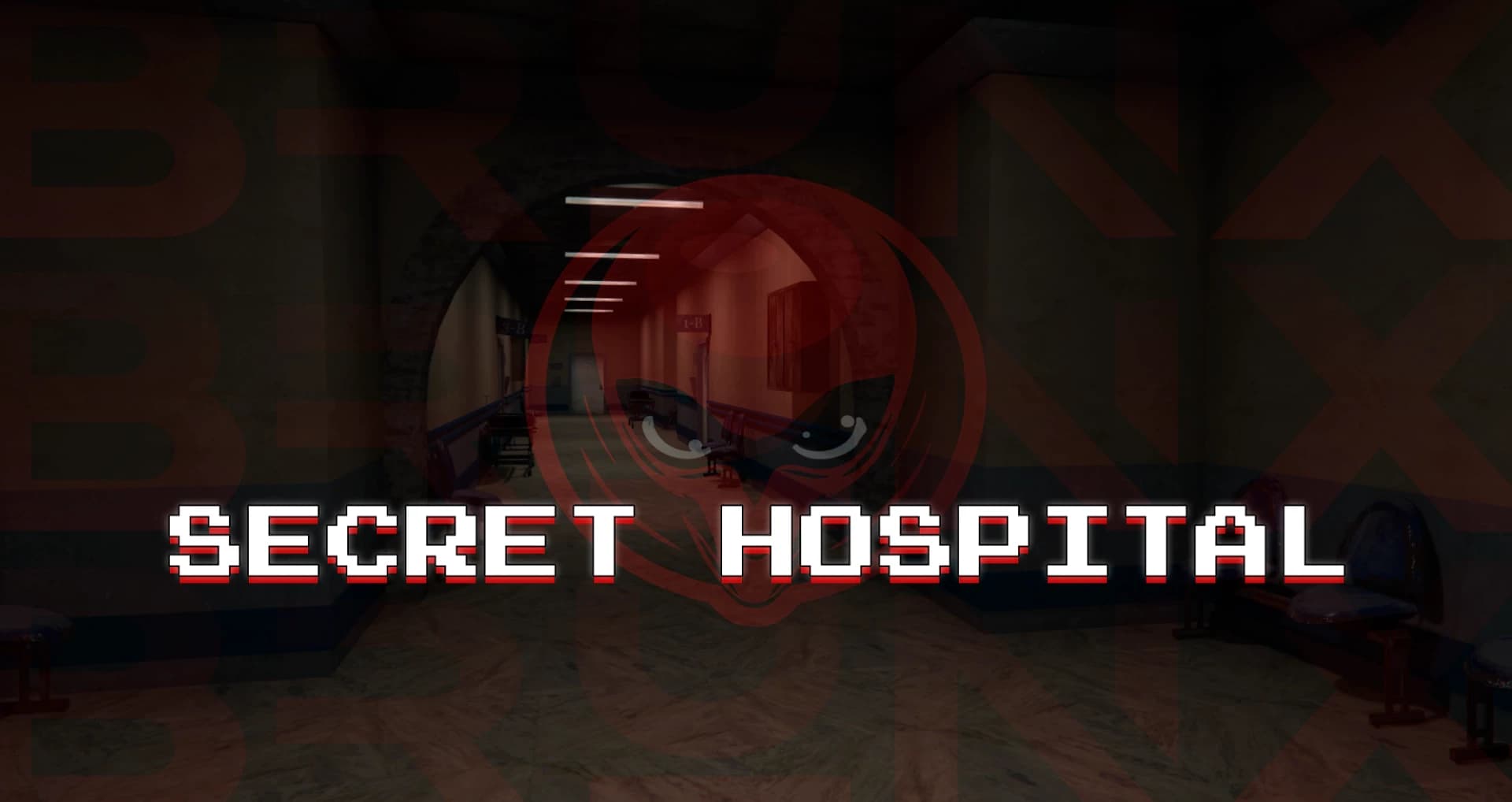 Secret Hospital