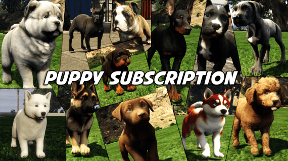 Puppy Subscription