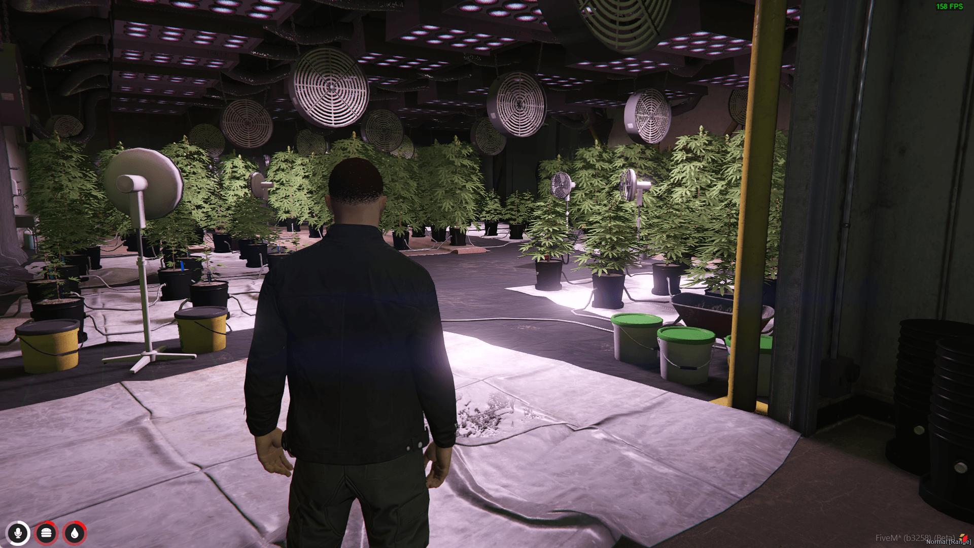 WEED LAB 01